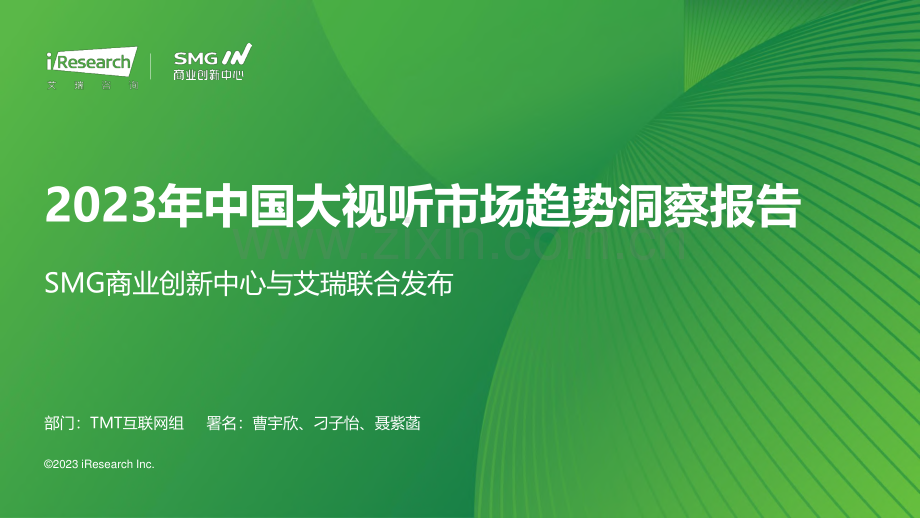 2023中国大视听市场趋势洞察报告.pdf_第1页