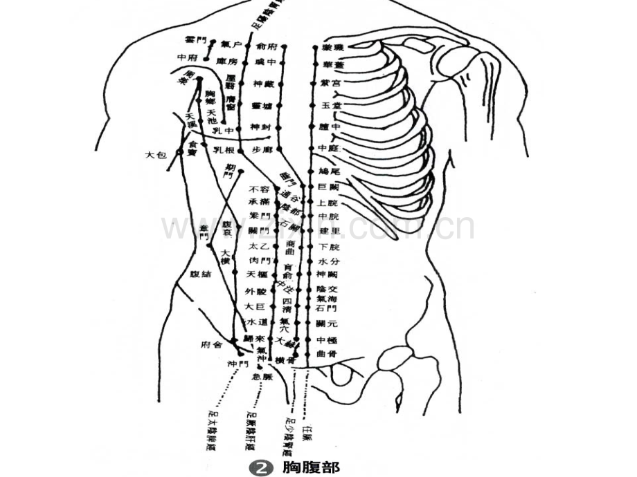 针灸人体穴位图大全.pptx_第1页