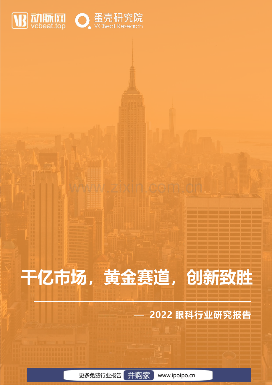 2022眼科行业研究报告.pdf_第1页