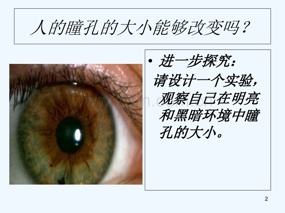 眼和视觉.ppt_第2页