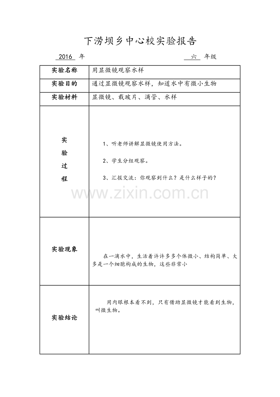 苏教版科学六年级上册实验报告单.doc_第1页