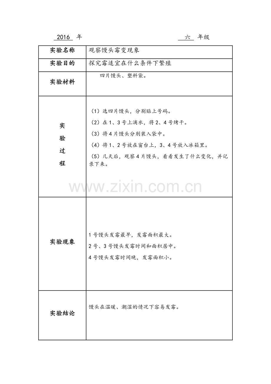 苏教版科学六年级上册实验报告单.doc_第3页