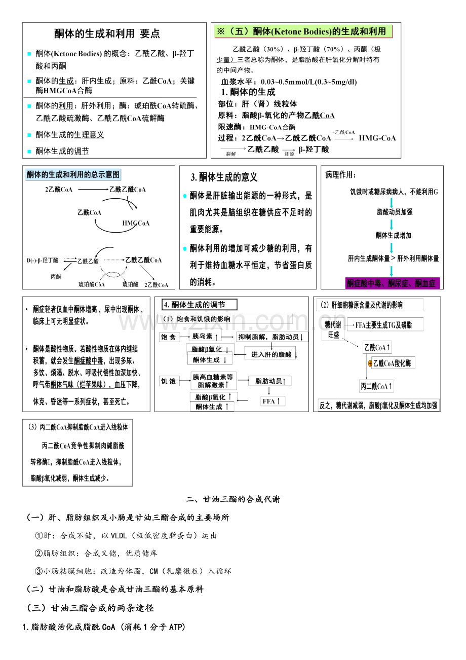 生物化学与分子生物学—脂类代谢.doc_第3页