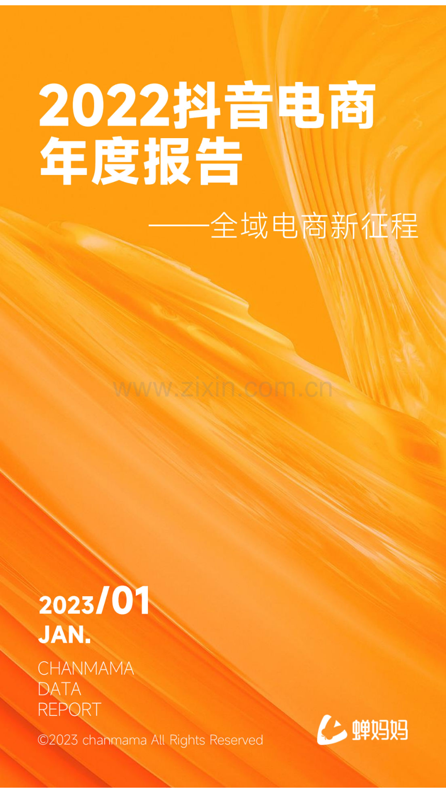 2022年抖音电商年度报告——全域电商新征程.pdf_第1页