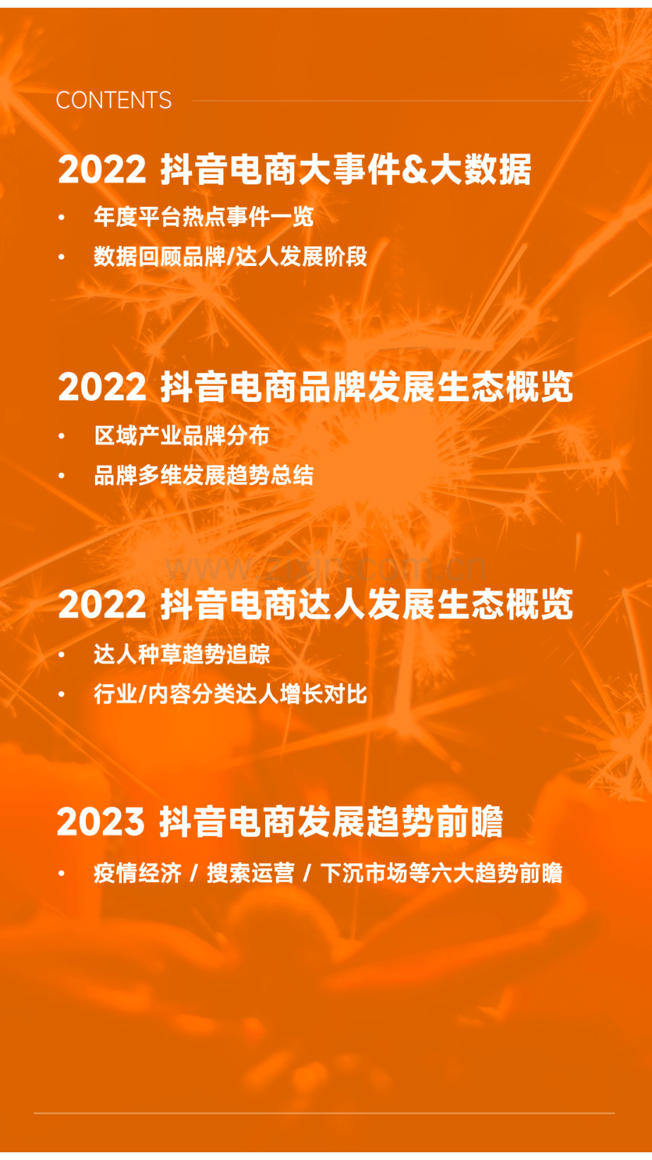 2022年抖音电商年度报告——全域电商新征程.pdf_第2页