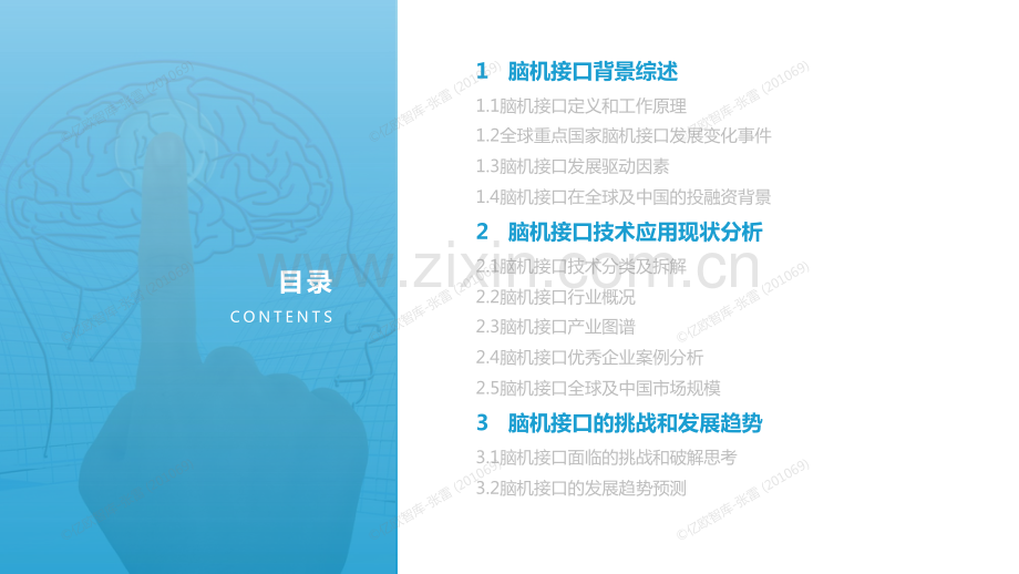 2022年全球脑机接口技术与应用发展研究报告.pdf_第2页