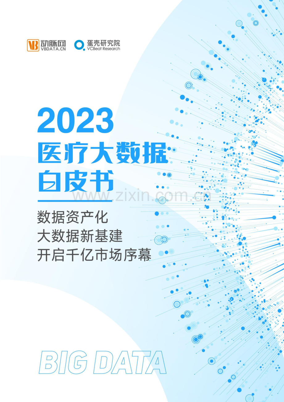 2023医疗大数据白皮书.pdf_第1页