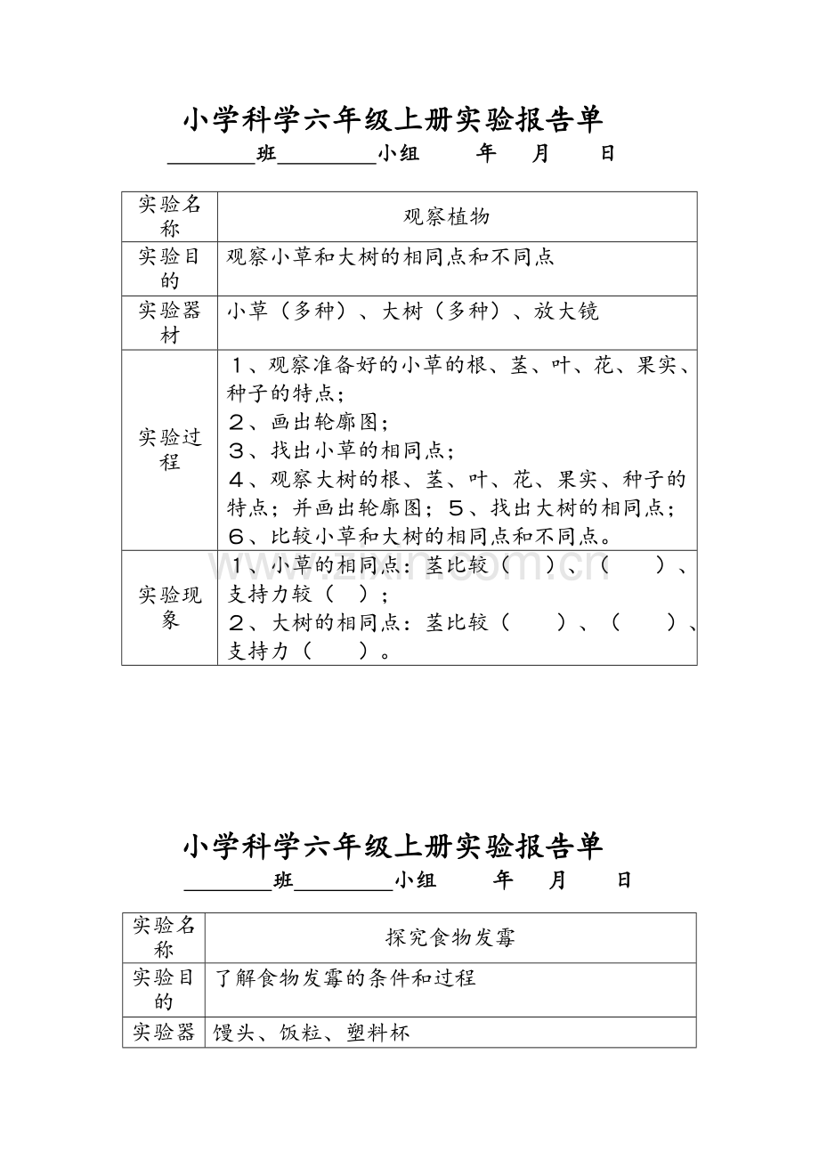 河北版六年级小学科学学生分组实验报告单冀教版.doc_第1页