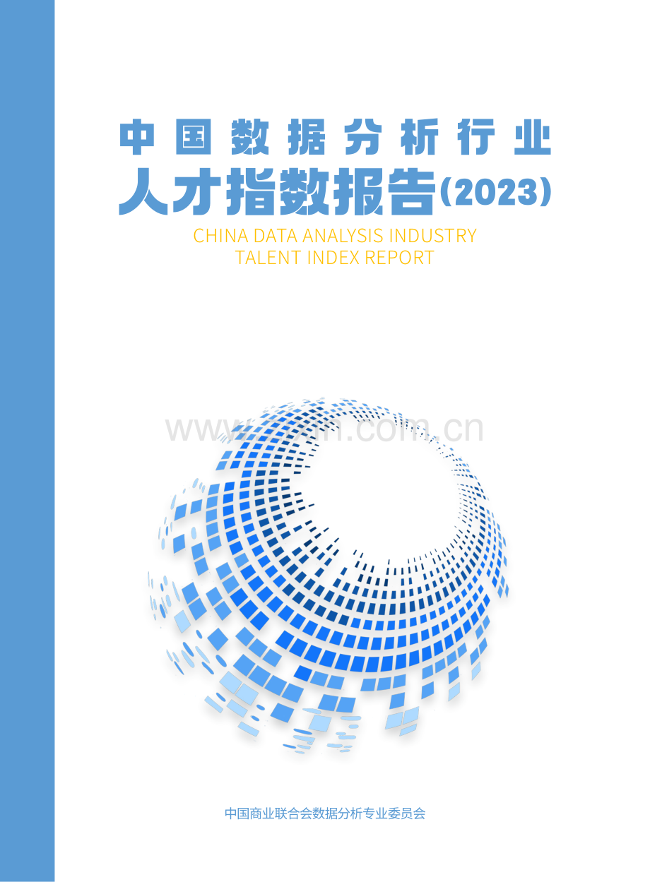 2023年中国数据分析行业人才指数报告.pdf_第1页