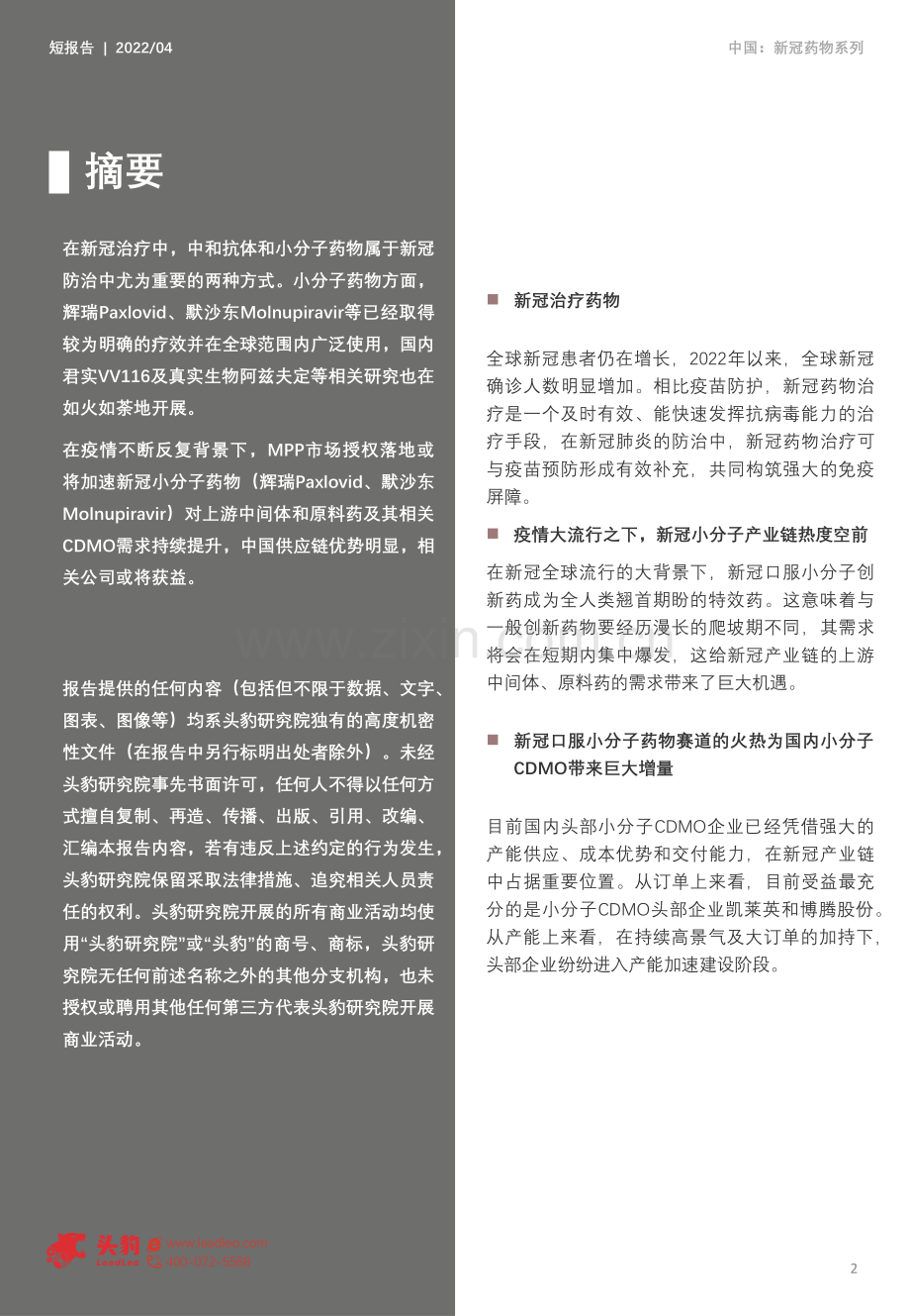 2022年中国新冠特效药行业短报告.pdf_第2页