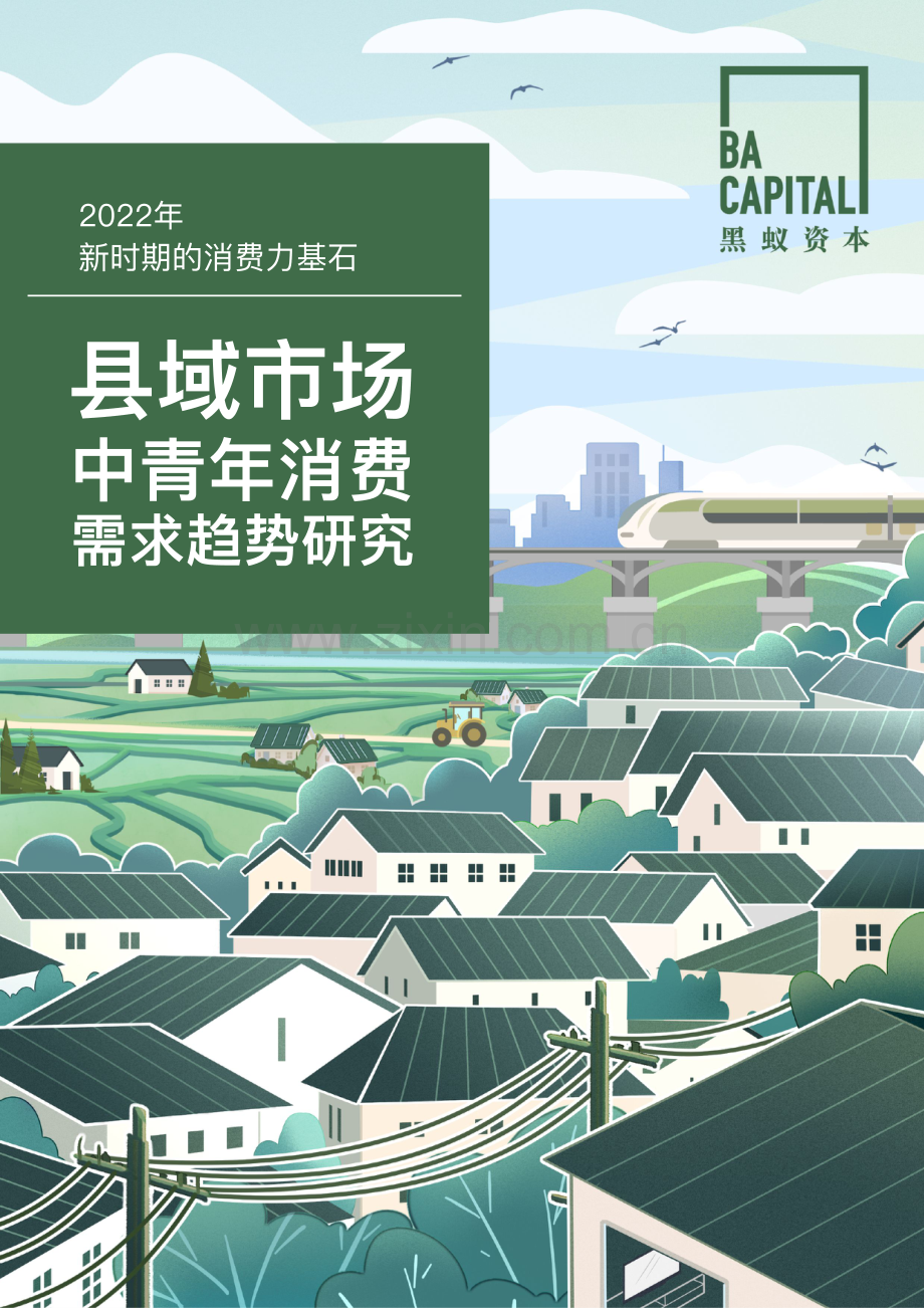 2022年县域市场中青年消费需求趋势研究.pdf_第1页