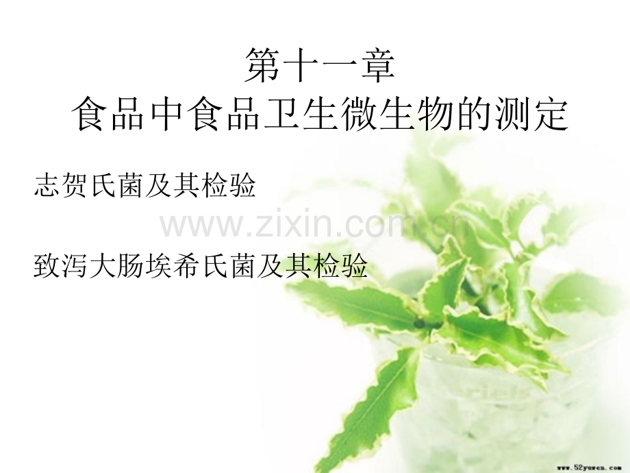 志贺氏菌属的检验.pptx_第1页