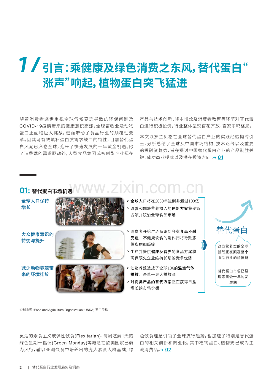 2022年替代蛋白行业发展趋势及洞察.pdf_第3页