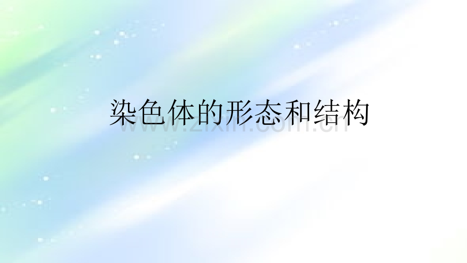 染色体的形态和结构.ppt_第1页