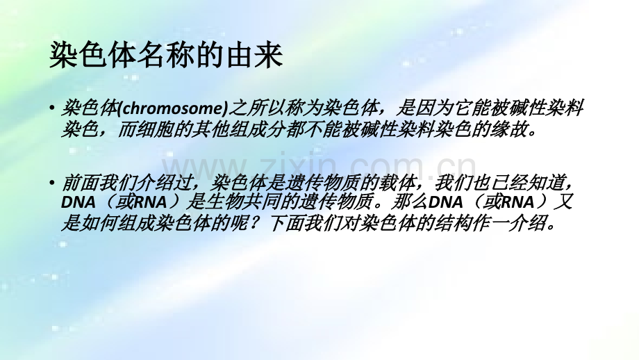 染色体的形态和结构.ppt_第2页