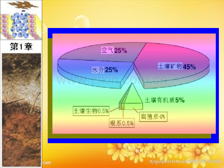 第二节-土壤组成.ppt_第3页