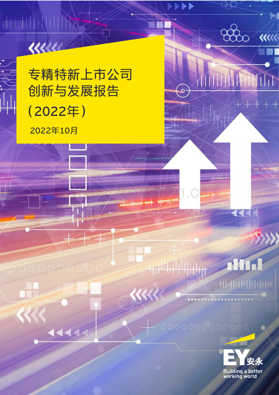 2022年专精特新上市公司发展报告（分析了719家上市公司的数据）.pdf_第1页