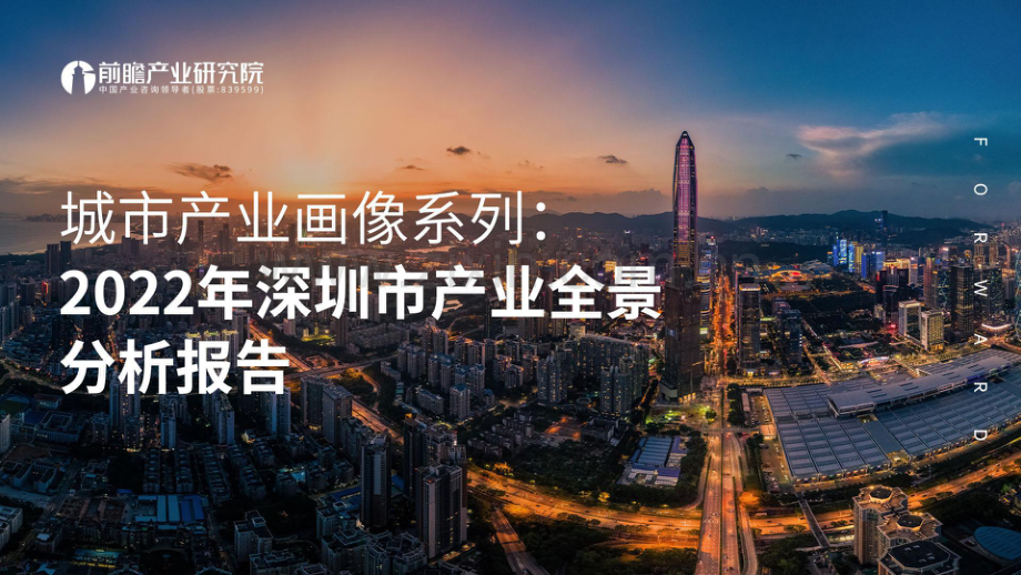 2022年深圳市产业全景分析报告.pdf_第1页