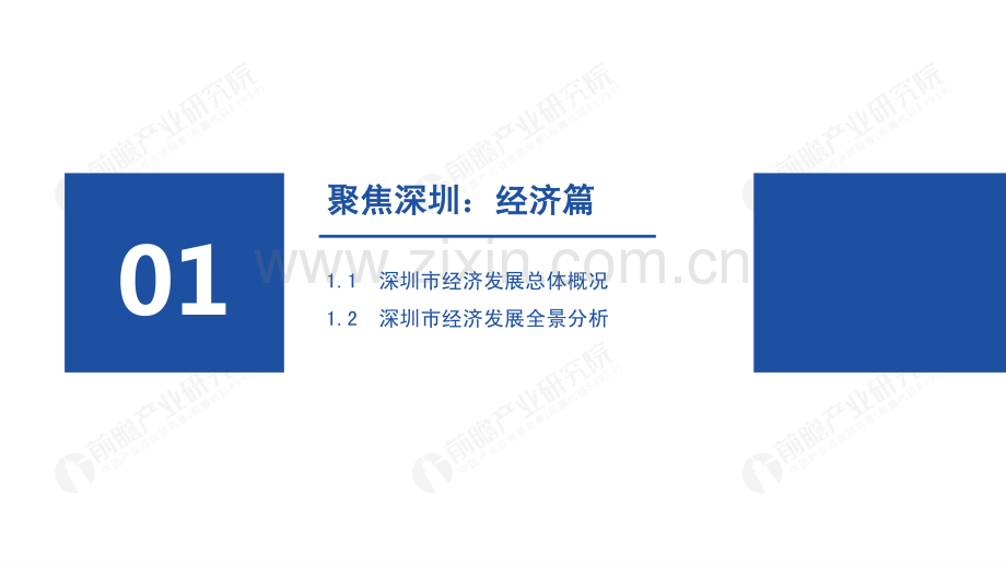 2022年深圳市产业全景分析报告.pdf_第3页