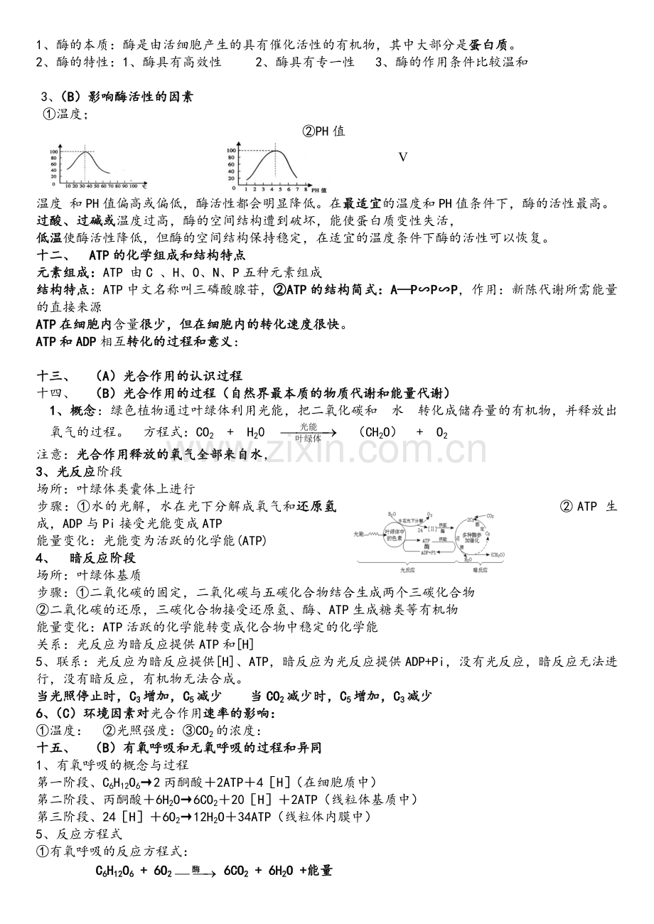 高中学业水平测试知识点总结——生物.doc_第2页