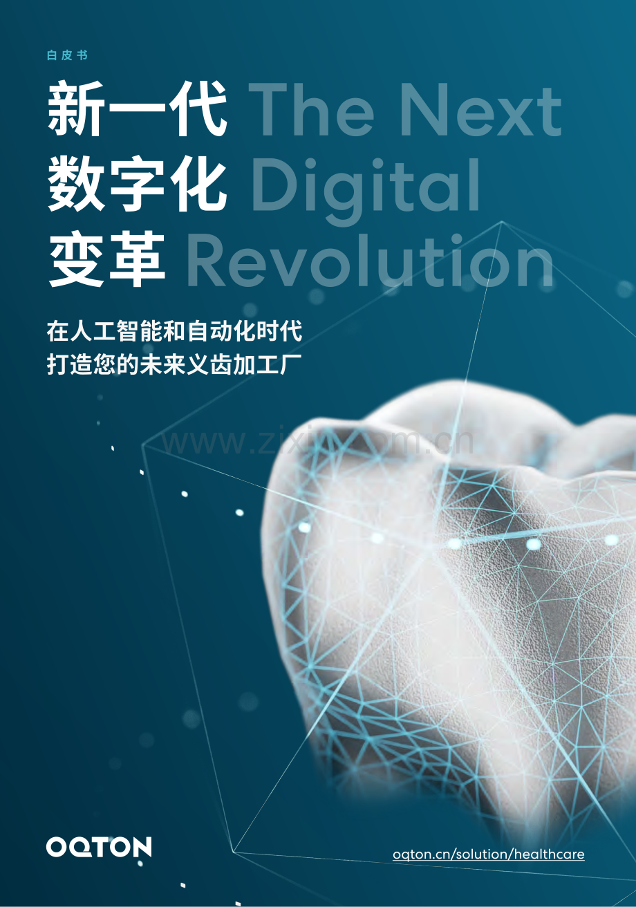 2023人工智能与义齿制造自动化白皮书.pdf_第1页