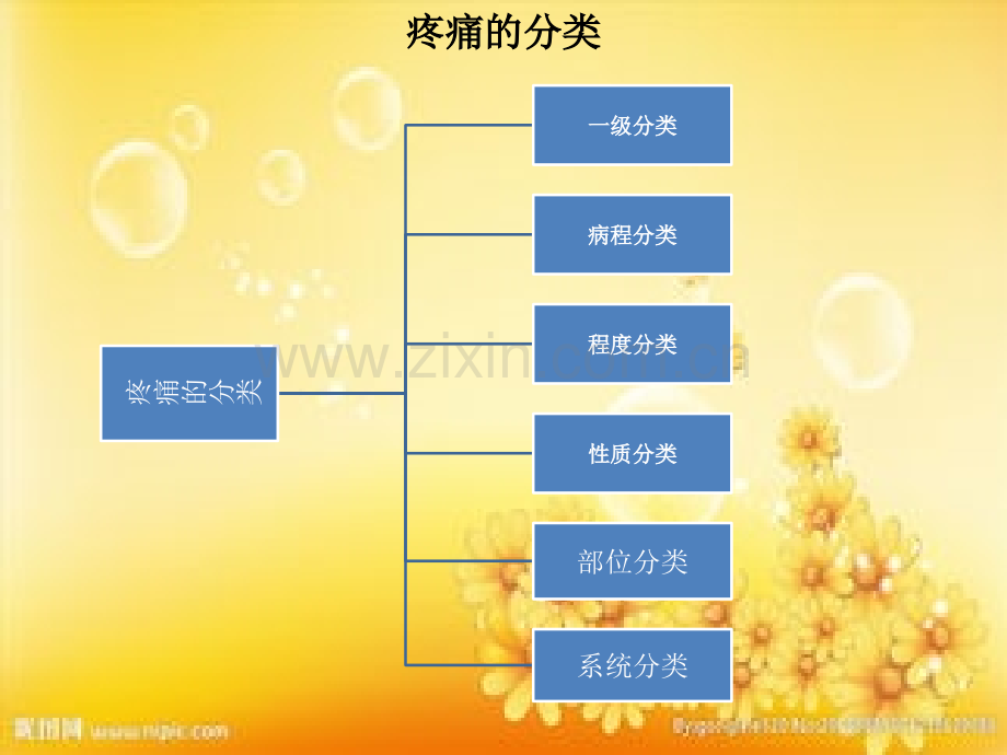 疼痛的分类及评估.ppt_第2页