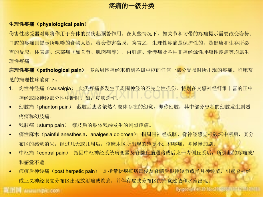 疼痛的分类及评估.ppt_第3页