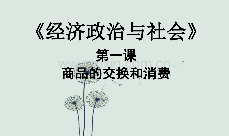 经济政治与社会课件--第一课.ppt_第1页