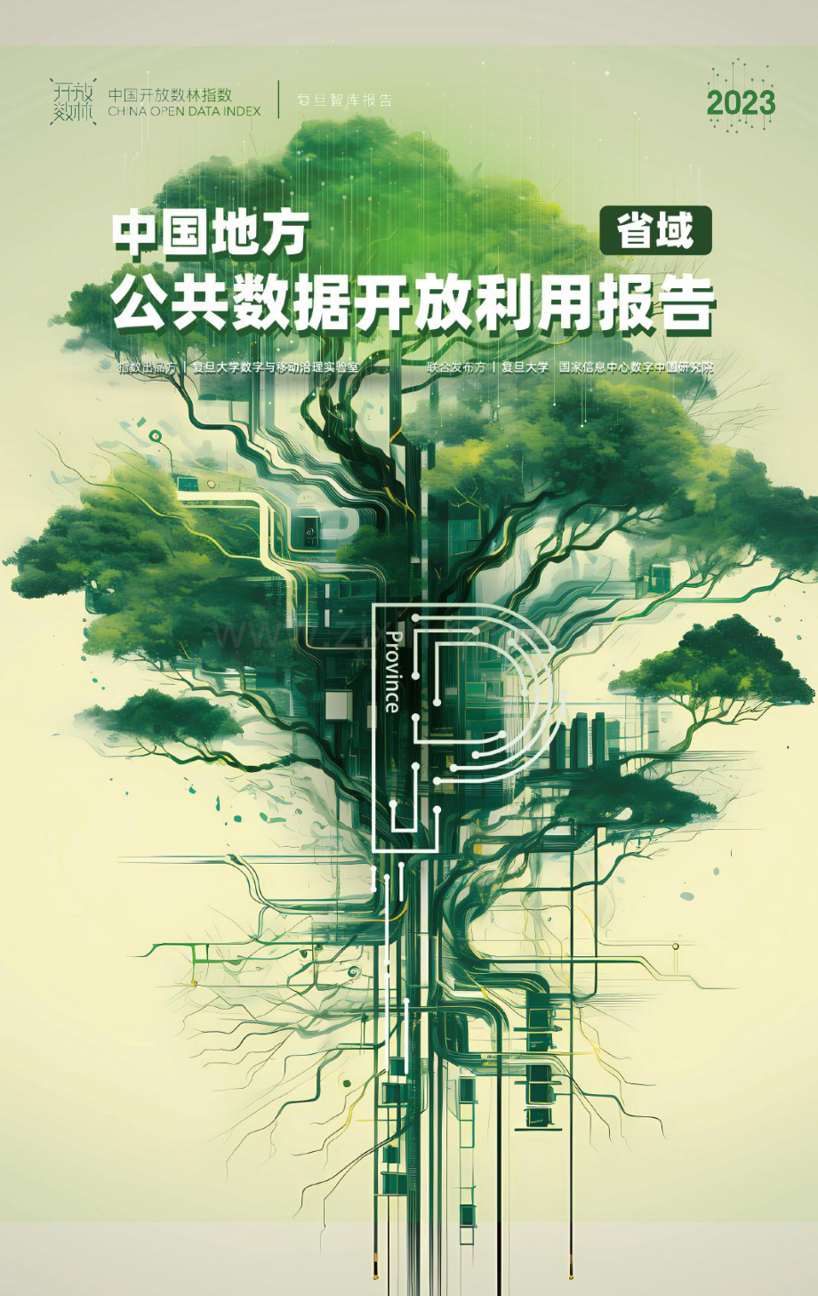 2023中国地方公共数据开放利用报告（省域）.pdf_第1页