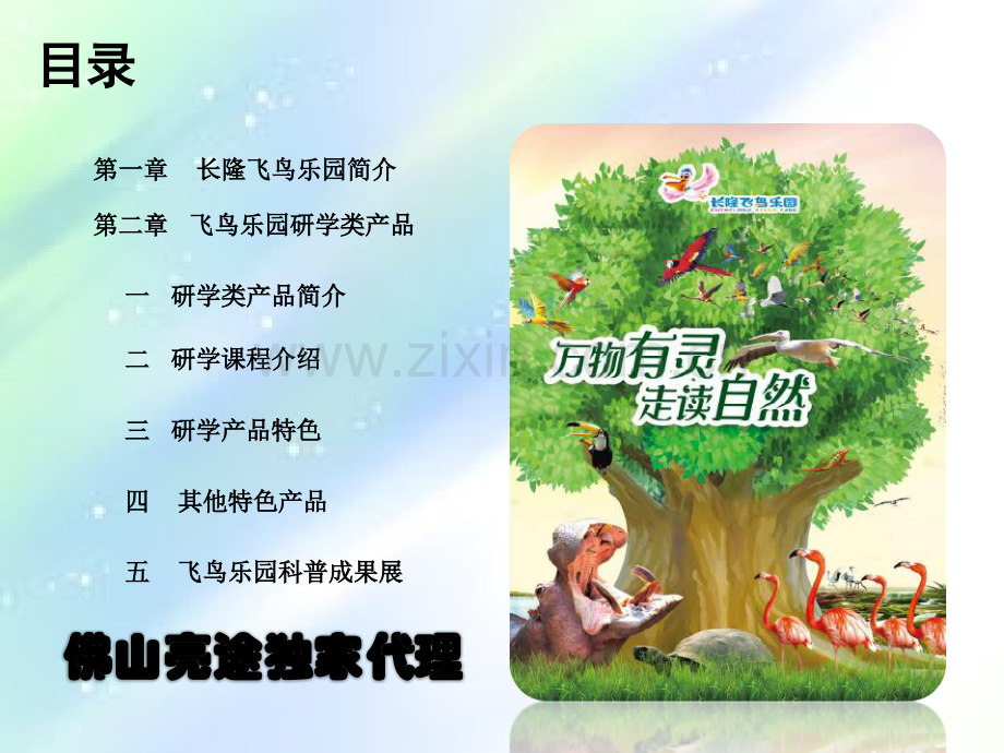 飞鸟乐园中小学生研学游(修改版).ppt_第2页