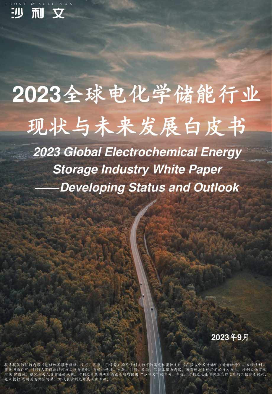 2023全球电化学储能行业现状与未来发展白皮书.pdf_第1页