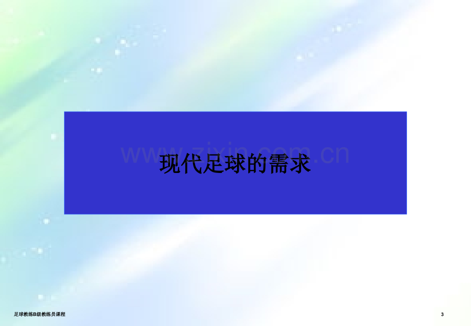 校园足球B级教练员课程.ppt_第3页