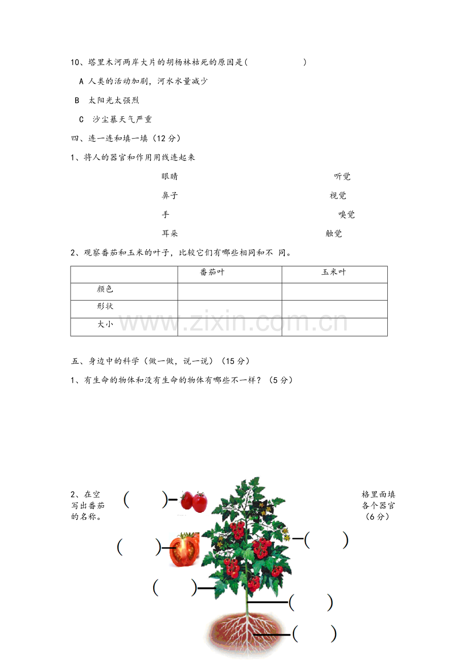 粤教版小学三年级科学上册试卷.doc_第3页