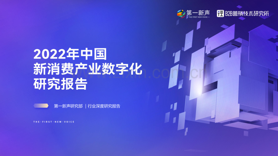 2022中国新消费产业数字化研究报告.pdf_第1页