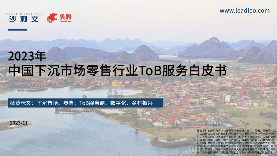 2023年中国下沉市场零售行业ToB服务白皮书.pdf_第1页