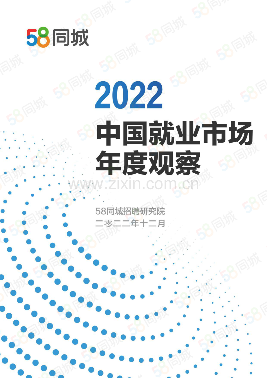 2022中国就业市场年度观察.pdf_第1页