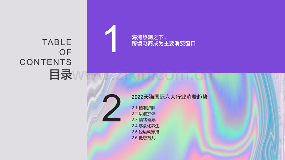 2022年天猫国际消费趋势洞察报告.pdf_第2页