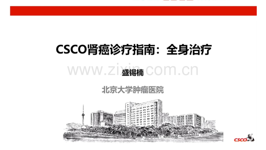 2022CSCO肾癌诊疗指南：全身治疗.pptx_第1页