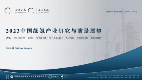 2023中国绿氨产业研究与前景展望.pdf