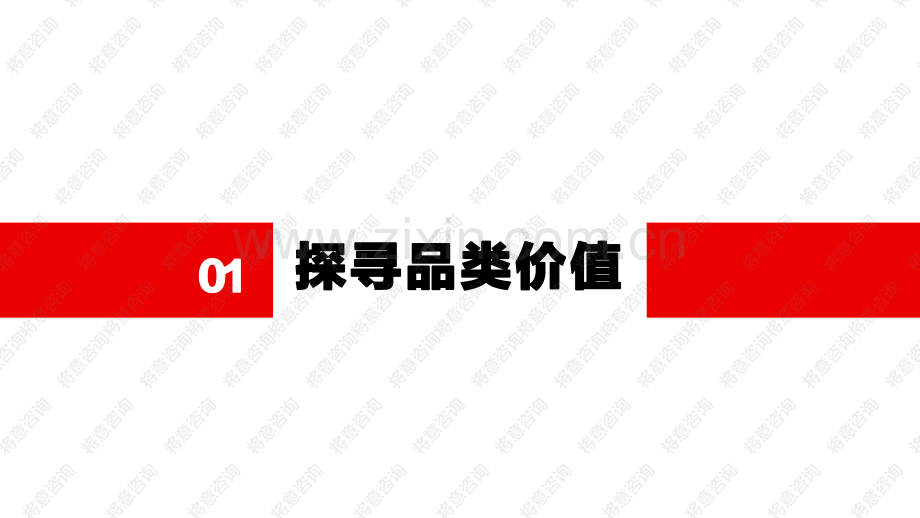 人类快乐品牌战略规划案.pdf_第3页