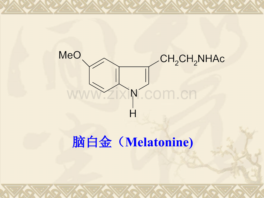 精细化学品化学医药与中间体.pptx_第3页