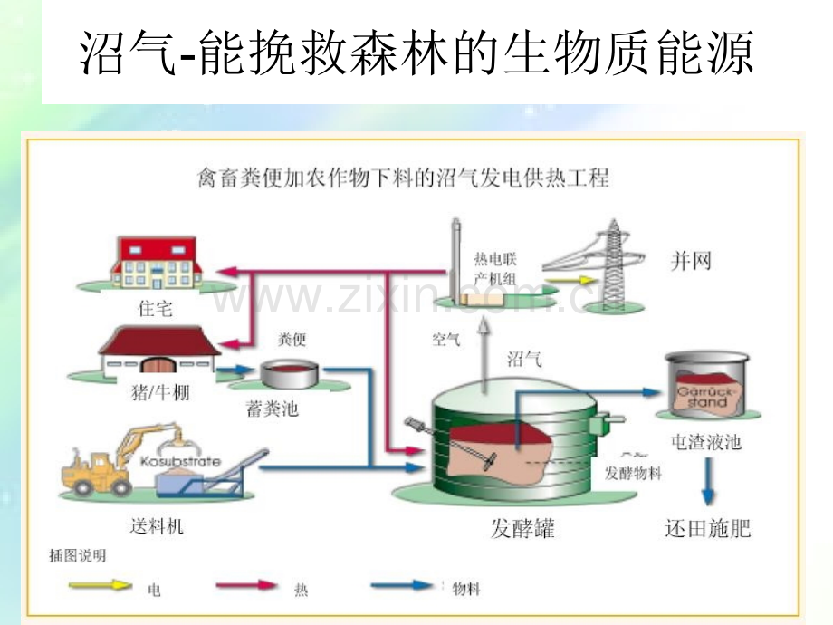 第四章-微生物与生物地球化学循环.ppt_第3页