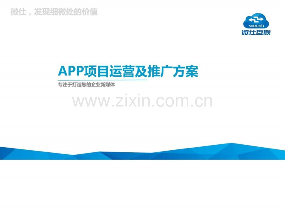 app定制开发运营推广方案微仕互联.pptx_第1页