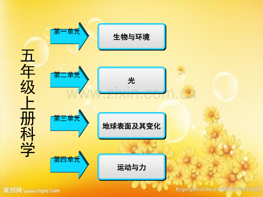 科教版五年级上册科学期末复习.ppt_第2页