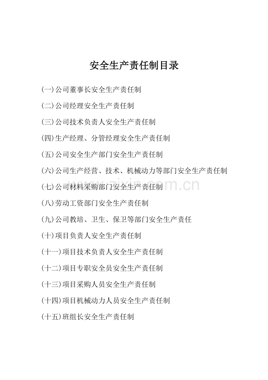 各级安全生产责任制和安全生产规章制度目录及文件-操作规程目录.doc_第3页