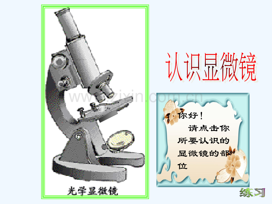 苏教版七年级生物上探索生命的器具.ppt_第3页