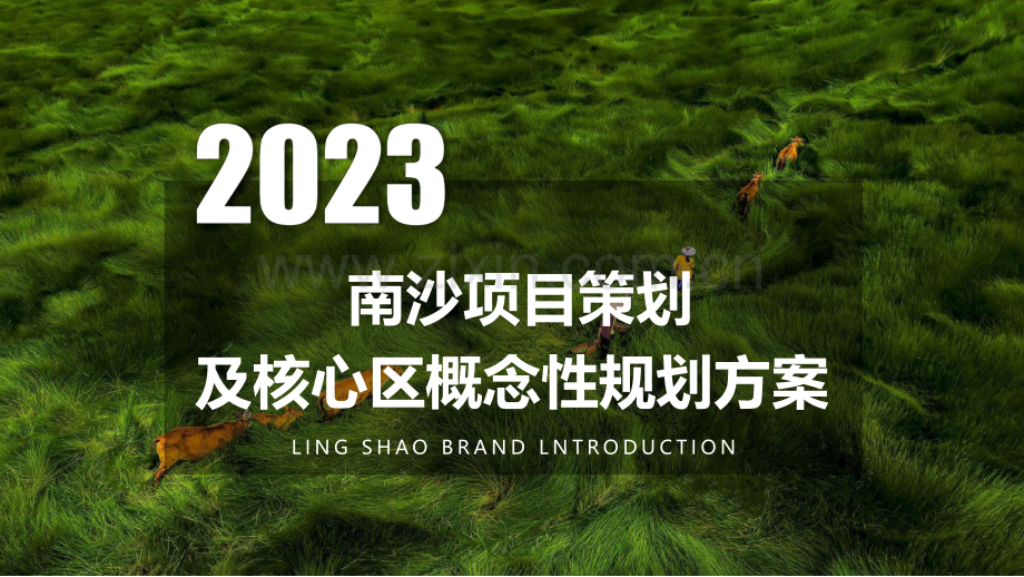 2023南沙项目策划及核心区概念性规划.pdf_第1页