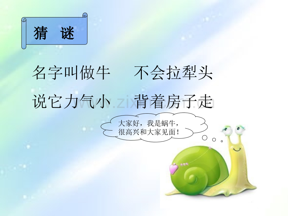 校园里的小动物.ppt_第3页