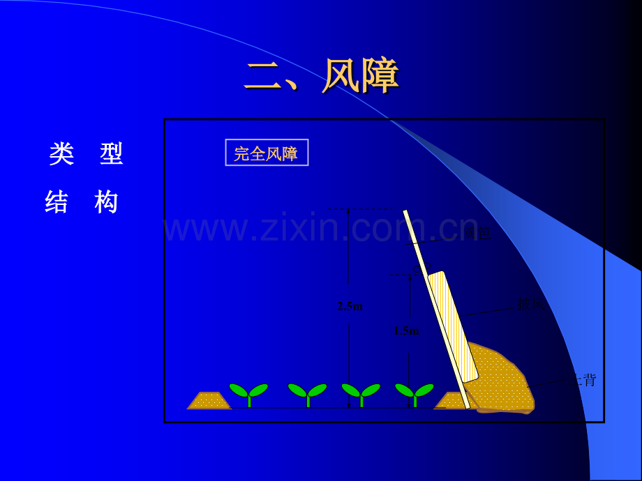 简易园艺设施.pptx_第2页