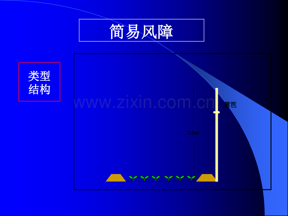 简易园艺设施.pptx_第3页